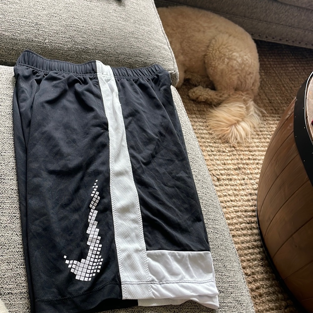 Worn once, Nike shorts